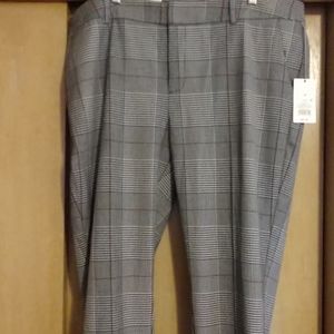 Nwt plaid pants